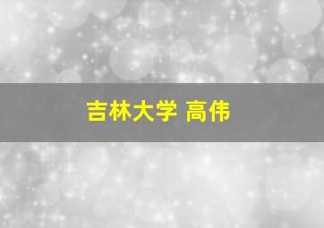 吉林大学 高伟